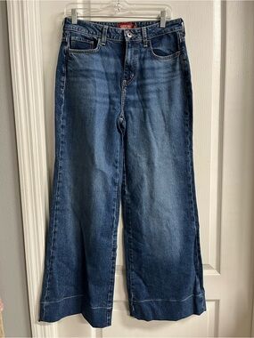 Johnny Was X Sasson Vintage Blue Wide-Leg Denim Jeans